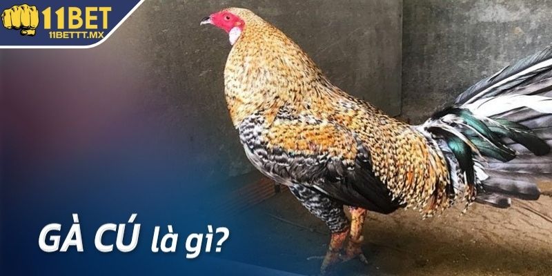 Ý nghĩa khái quát của gà cú là gì?