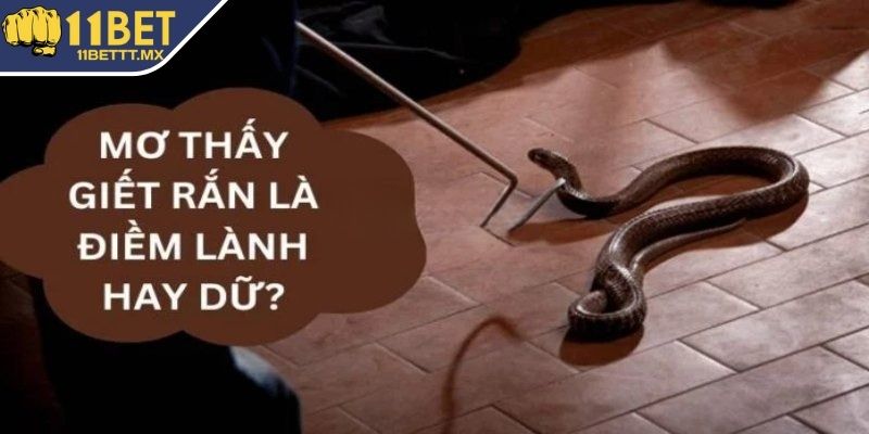 Đôi nét tìm hiểu về việc nằm mơ thấy giết rắn