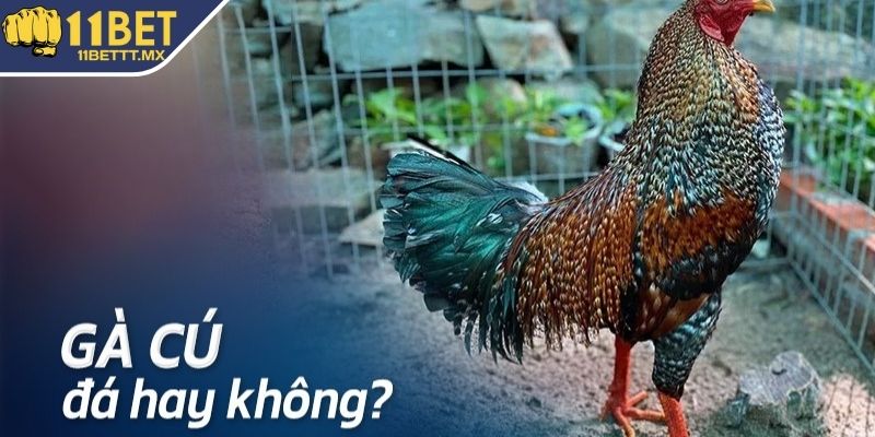 Ý nghĩa của gà cú trong cộng đồng cá cược