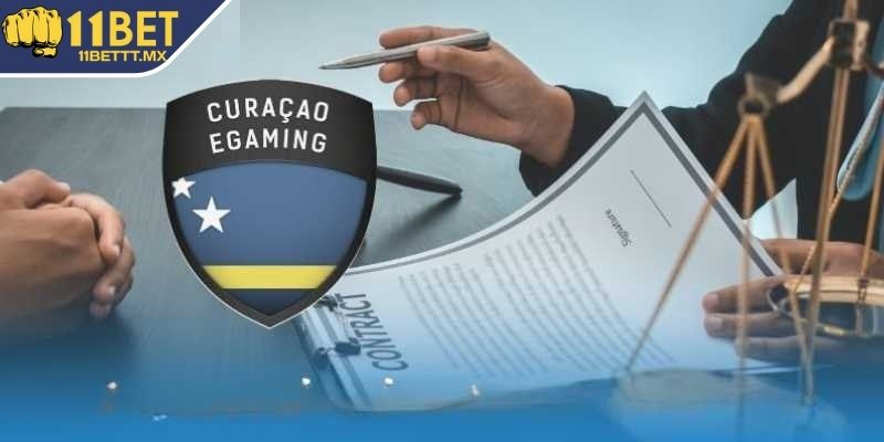 Chọn tổ chức cấp phép hoạt động